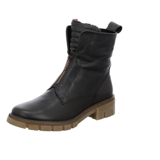 Ara Dover-STF 3 Ara Dover-STF