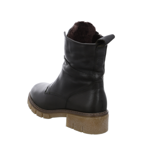 Ara Dover-STF 5 Ara Dover-STF – Bild 3