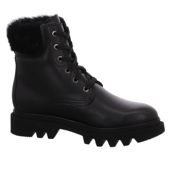 Panama Jack Boots Für Damen 8 Panama Jack Boots Für Damen – Bild 6