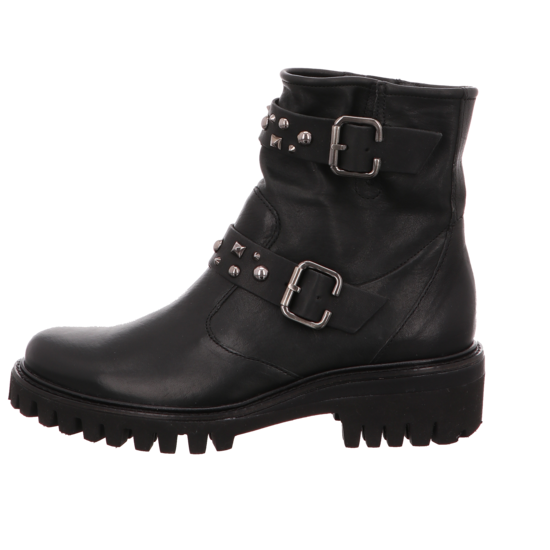 Paul Green 9330 4 Paul Green 9330 – Bild 2