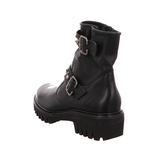 Paul Green 9330 5 Paul Green 9330 – Bild 3