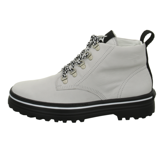 Paul Green 4848 4 Paul Green 4848 – Bild 2