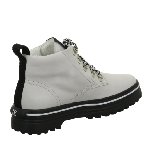 Paul Green 4848 7 Paul Green 4848 – Bild 5