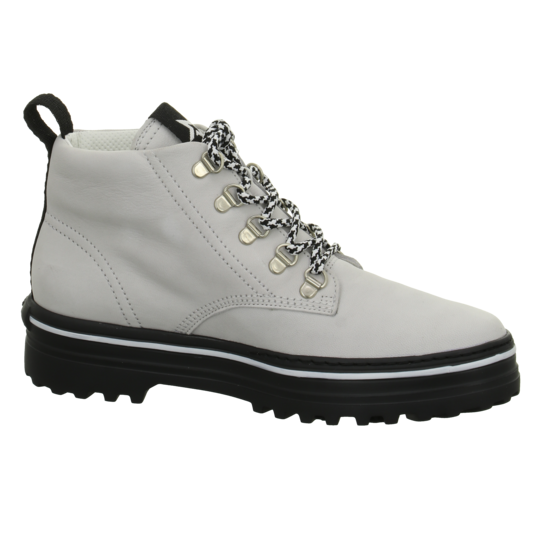 Paul Green 4848 8 Paul Green 4848 – Bild 6