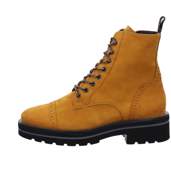 Paul Green 9668 4 Paul Green 9668 – Bild 2