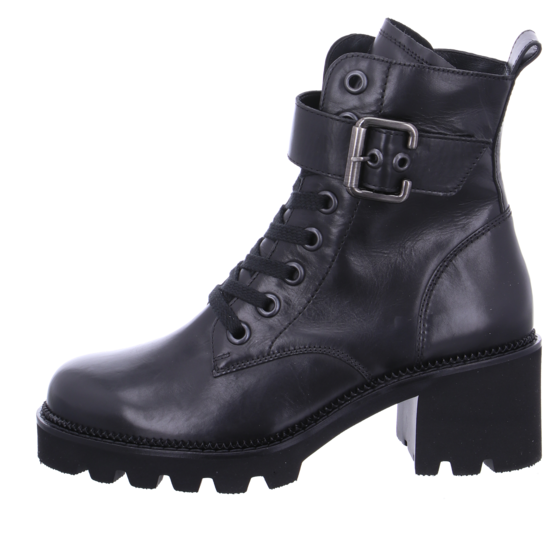 Paul Green 9910 4 Paul Green 9910 – Bild 2