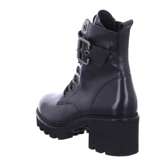 Paul Green 9910 5 Paul Green 9910 – Bild 3