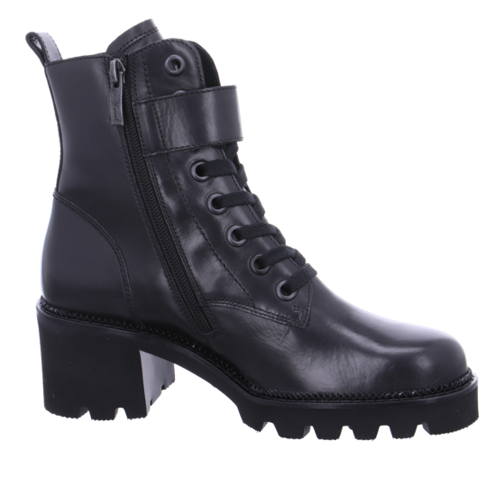 Paul Green 9910 8 Paul Green 9910 – Bild 6